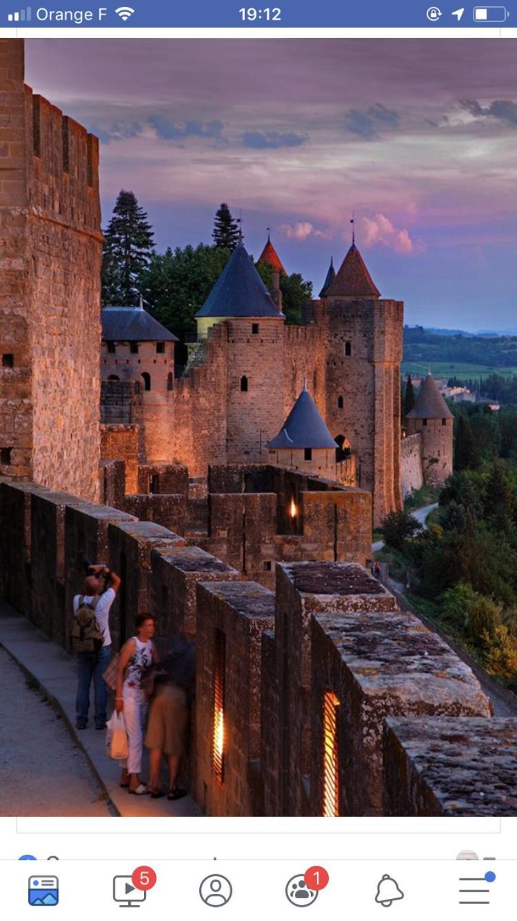 L'Oree De La Cite Carcassonne Bagian luar foto